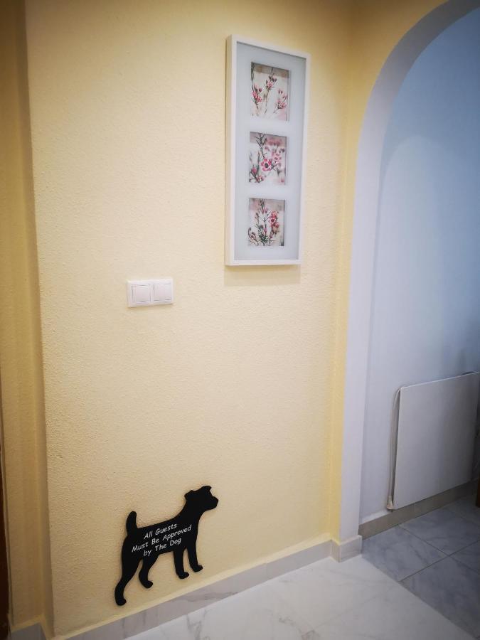 Spacious Apartment La Mata Pool&Beach Torrevieja Zewnętrze zdjęcie